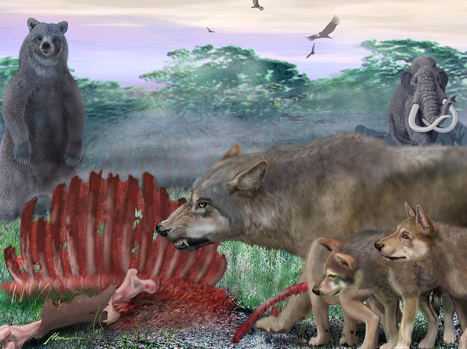 Dire Wolves - Illustration from Ice Age Florida